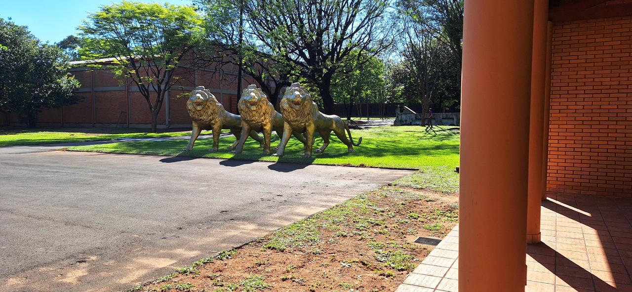 Equipo JRYS en Aguaí S.A.